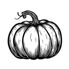 Hand Drawn Pumpkin Illustration – Black and White Vintage Sketch