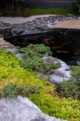 Koi fish or Nishikigoi in outdoor pond in the garden decorated with stone
