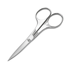 Obraz premium Silver scissors, sharp blades (1)