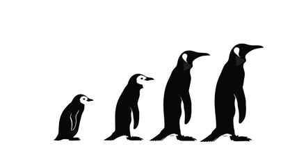 Penguin evolution concept showing stages of development from chick to adult vector