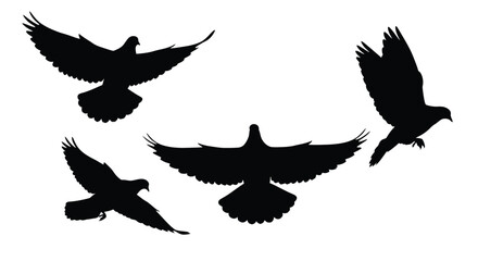 Dynamic silhouettes of four birds in flight capturing freedom and movement vector