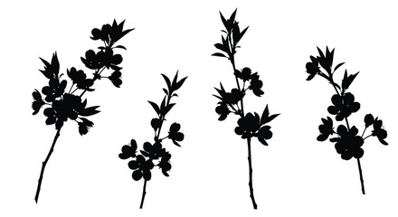 Silhouettes of delicate flowering branches in a decorative natural composition vector
