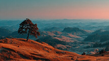 Fototapeta premium Tree on hill overlooking valley landscape with orange and blue tones.