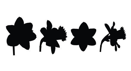 Set of silhouette daffodil flowers isolated against for spring design elements vector