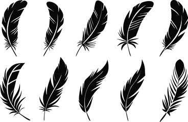 Elegant black feather silhouettes arranged on a white background for artistic design elements 
