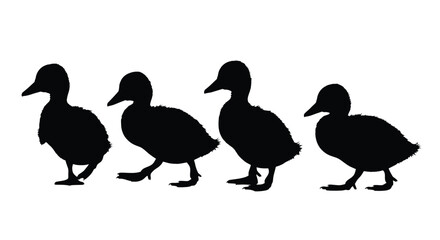 Four cute ducklings walking in a line silhouettes against a white backdrop vector
