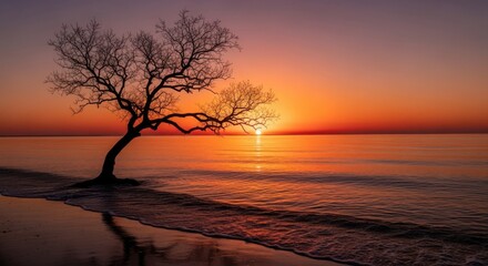 Beautiful Solitary Tree by the Ocean at Sunset