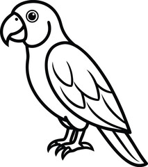 vector illustration of a parrot