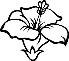 black and white hibiscus flower