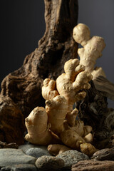 Fototapeta premium Ginger root with old snags and stones on a black background.