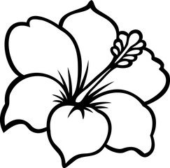 black and white hibiscus flower