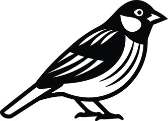 vector illustration of a bird