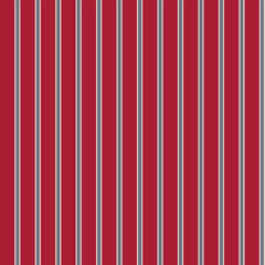 Vertical  stripes seamless pattern. Lines vector abstract design. Stripe texture suitable fashion textiles. Vector design 
