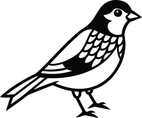 vector illustration of a bird