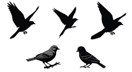 Diverse silhouettes of birds in various flying and perching poses for creative design vector