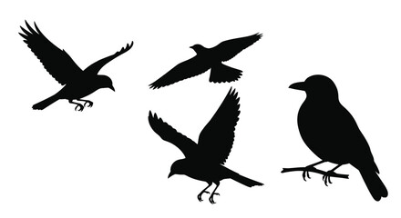 Silhouette collection of birds in flight and perched majestic wildlife avian icons vector © Runa