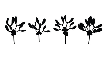 Four delicate stylized black plant stems with seed pods and leaves isolated vector