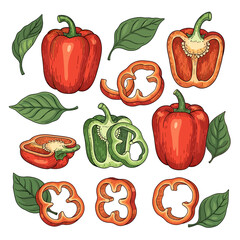 Fototapeta premium A collection of fresh red green and orange bell peppers with leaves and slices