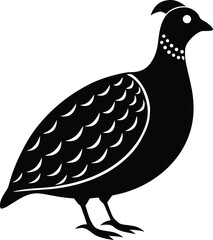 vector illustration of an eagle