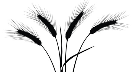 Silhouette of five black wheat stalks with fine whiskers on vector