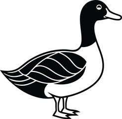 vector illustration of a duck