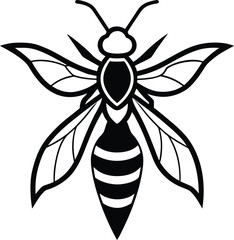 bee vector illustration