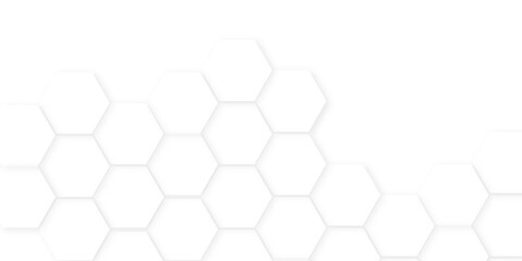 Abstract background with hexagon, modern abstract vector polygonal pattern. Futuristic honeycomb mosaic white background,white and gray hexagon honeycomb geometric copy space.