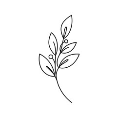 A minimalist continuous line drawing depicting a graceful botanical branch with delicate leaves and small berries, perfect for modern aesthetics and natural themes.