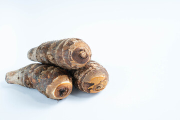 海老芋 白背景