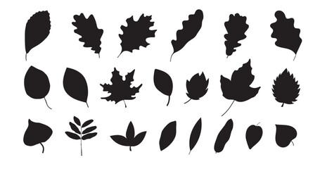 Autumn set of natural elements. Set of autumn branches with leaves, berries, mushrooms, nuts. Colored flat vector illustration on white background