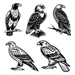 Art & IllustrationBird Silhouette Collection and Design a black-and-white tattoo-style illustration set featuring owls, hawks, falcons, and an eagle.
