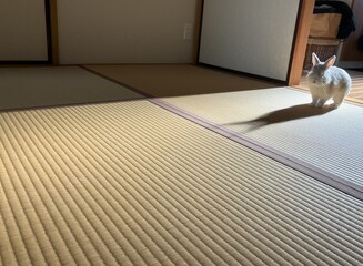 朝日を背に浴びるうさぎ