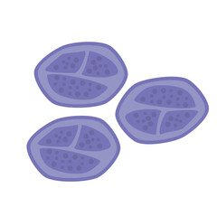 Abstract illustration of purple cells with distinct patterns and shapes on a white background