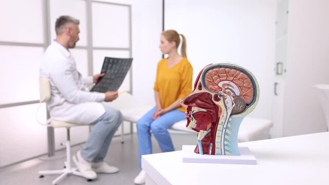 Human brain anatomical model on doctor's table over background doctors analyzing results of MRI scan of patient head at medical clinic. Diseases of brain, nerves and nervous system