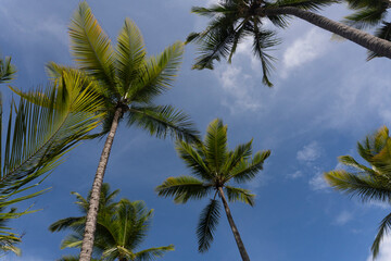 Praia de São José em Itacaré Bahia Paraíso Natural no Litoral Brasileiro