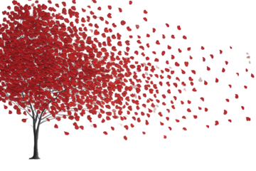 Red Tree with Disintegrating Leaves on Transparent Background