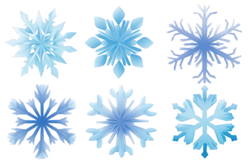 Six Blue and White Detailed Snowflakes on Transparent Background