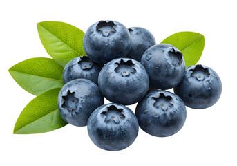 Fototapeta premium A vibrant cluster of fresh blueberries with delicate green leaves isolated on white or transparent background.PNG format.