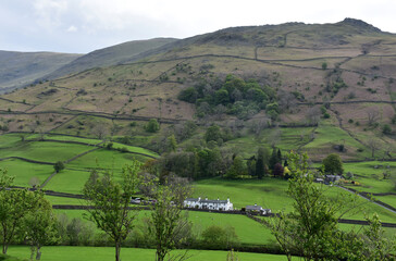 Naklejka premium Large Rolling Hills with Large Fields Marked with Stone Walls