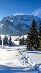 A snow-covered mountain landscape with clear blue sky, displaying footprints on pristine snow, leading towards a valley nestled between towering pines.