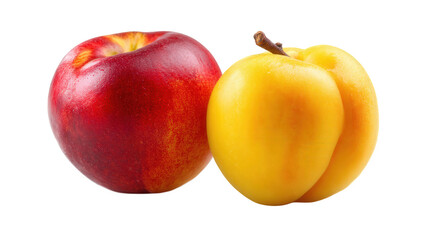Ripe Nectarine and Apricot on Transparent Background