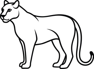 black cat vector illustration