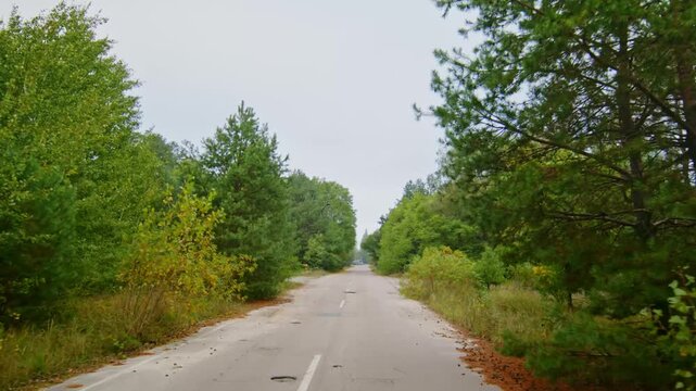 An eerie, overgrown asphalt road leading through dense forest towards the ghost city of Pripyat within the Chernobyl Exclusion Zone. This footage captures the haunting beauty and desolation of the aba