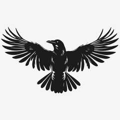 Fototapeta premium raven crow sketch illustration vector
