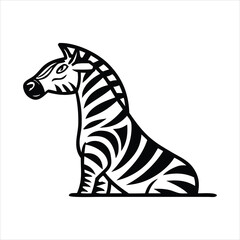 zebra isolated on white