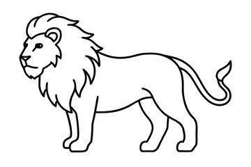 lion isolated on white