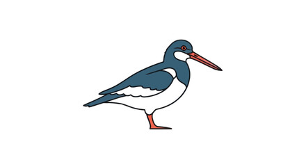 Illustration of a bird with a long beak.