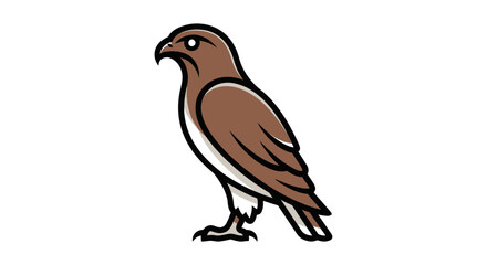 Majestic brown hawk with keen eyes standing tall.