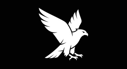 Obraz premium Majestic White Hawk in Flight Powerful Wings.