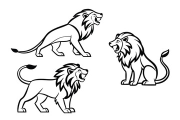 lion vector illustration